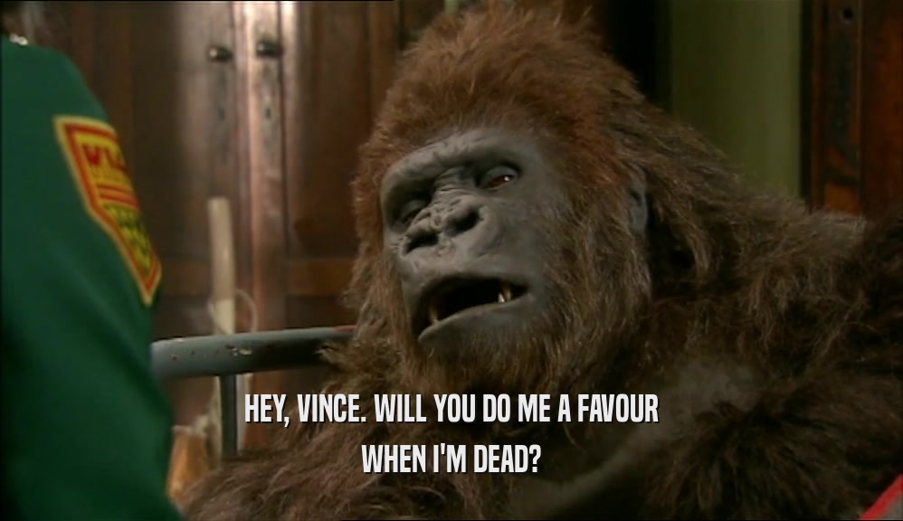HEY, VINCE. WILL YOU DO ME A FAVOUR WHEN I'M DEAD? 