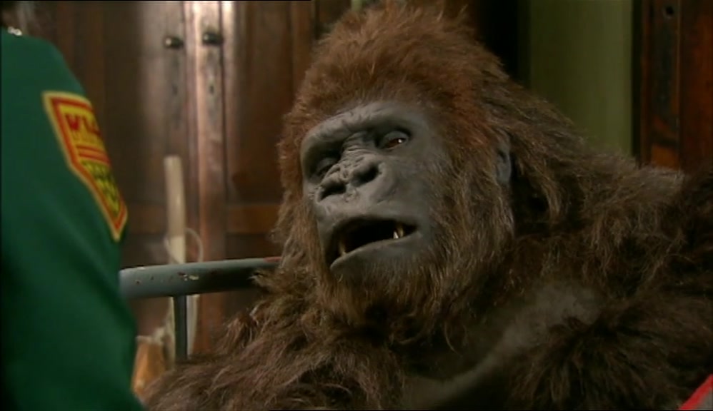 HEY, VINCE. WILL YOU DO ME A FAVOUR WHEN I'M DEAD? 