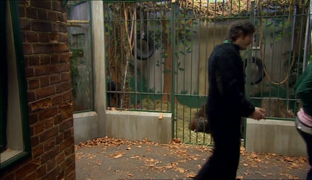 - I FORGOT. - I COULD HAVE CLAIMED THAT BACK. 