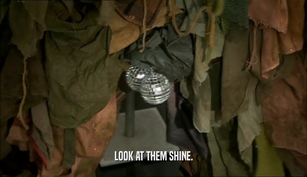 LOOK AT THEM SHINE.  