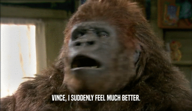 VINCE, I SUDDENLY FEEL MUCH BETTER.  