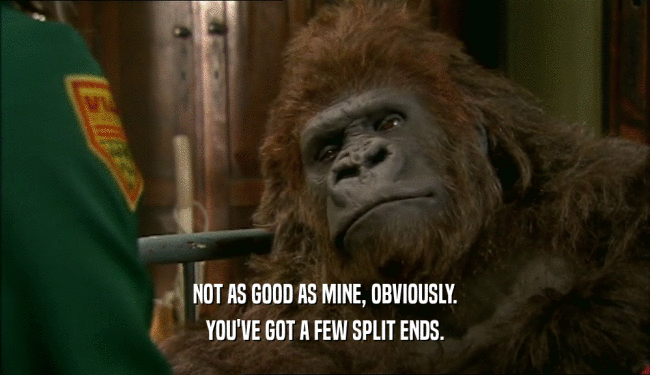NOT AS GOOD AS MINE, OBVIOUSLY. YOU'VE GOT A FEW SPLIT ENDS. 