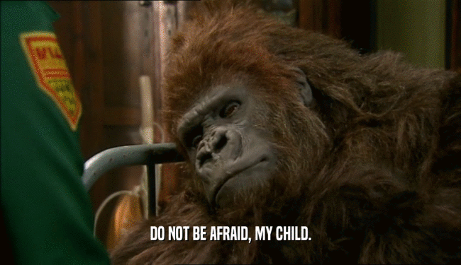 DO NOT BE AFRAID, MY CHILD.
  