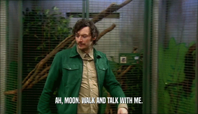 AH, MOON. WALK AND TALK WITH ME.  