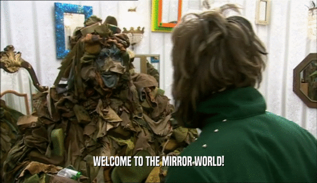 WELCOME TO THE MIRROR WORLD!  