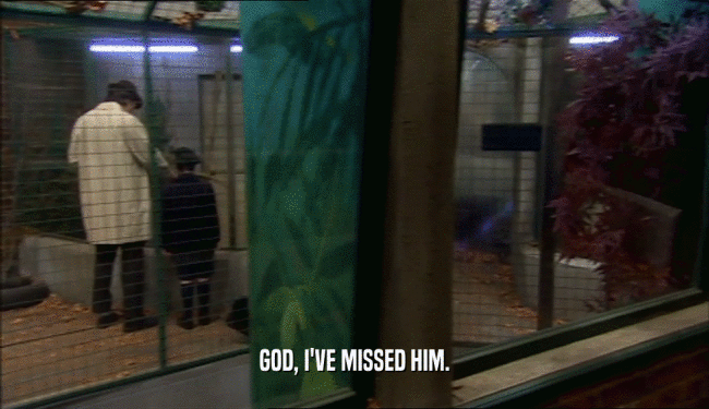 GOD, I'VE MISSED HIM.  