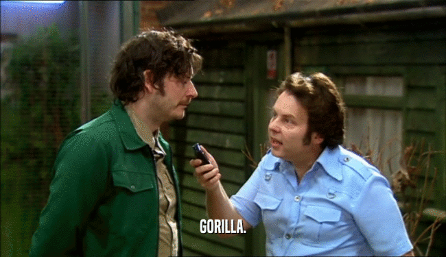 GORILLA.  