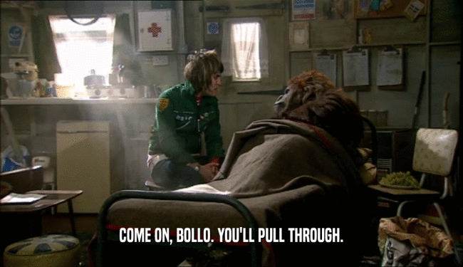 COME ON, BOLLO. YOU'LL PULL THROUGH.
  