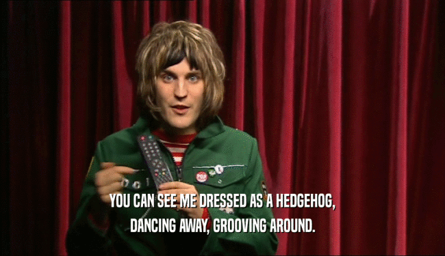 YOU CAN SEE ME DRESSED AS A HEDGEHOG, DANCING AWAY, GROOVING AROUND. 