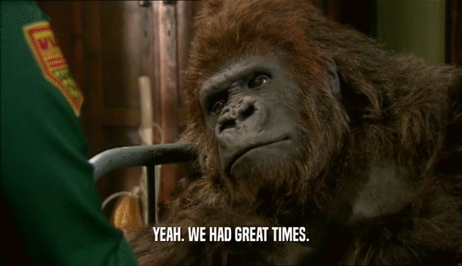 YEAH. WE HAD GREAT TIMES.  