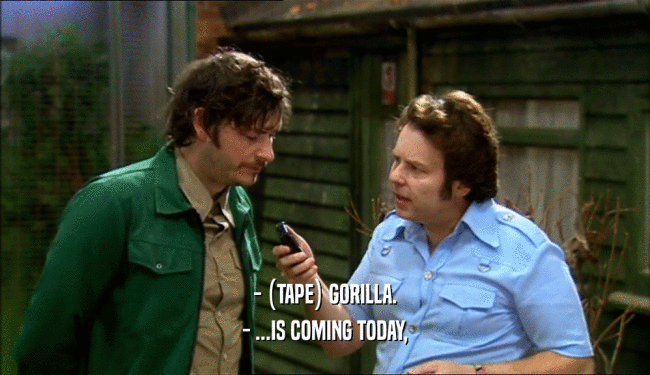 - (TAPE) GORILLA. - ...IS COMING TODAY, 