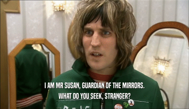 I AM MR SUSAN, GUARDIAN OF THE MIRRORS. WHAT DO YOU SEEK, STRANGER? 