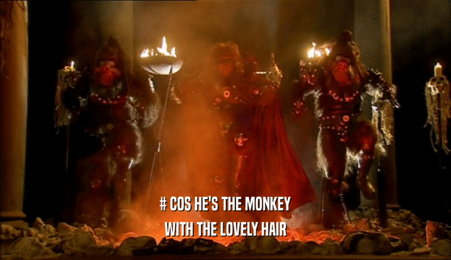 # COS HE'S THE MONKEY WITH THE LOVELY HAIR 