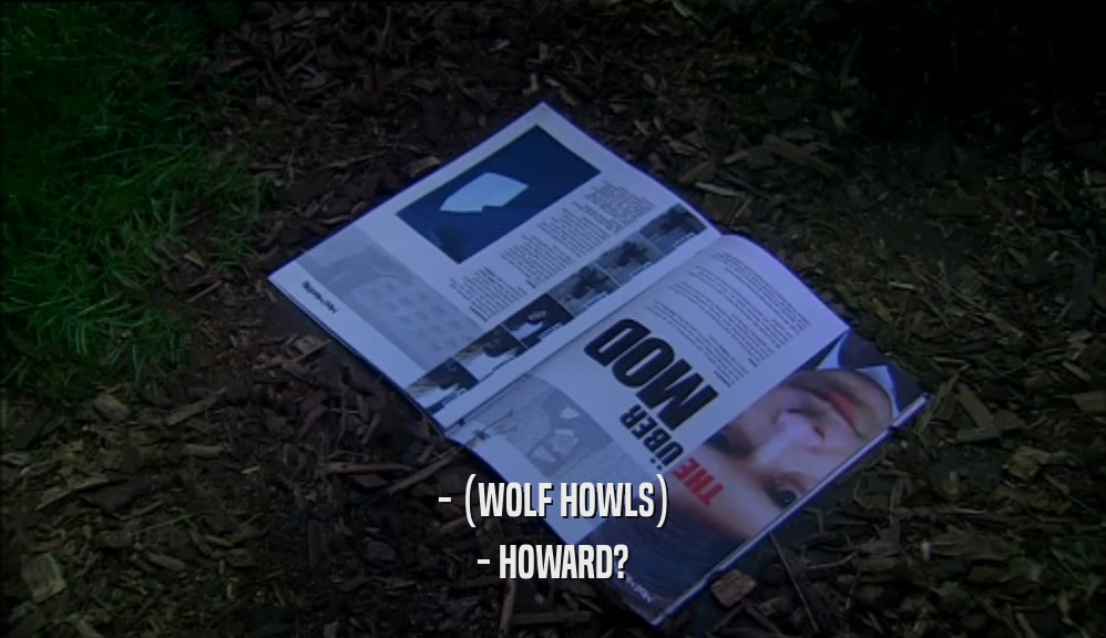 - (WOLF HOWLS) - HOWARD? 