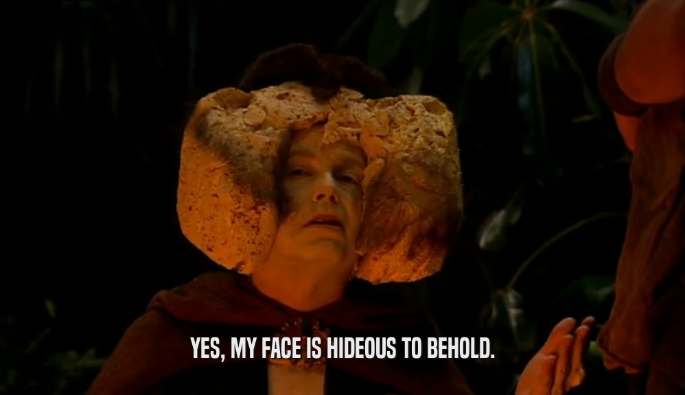YES, MY FACE IS HIDEOUS TO BEHOLD.  