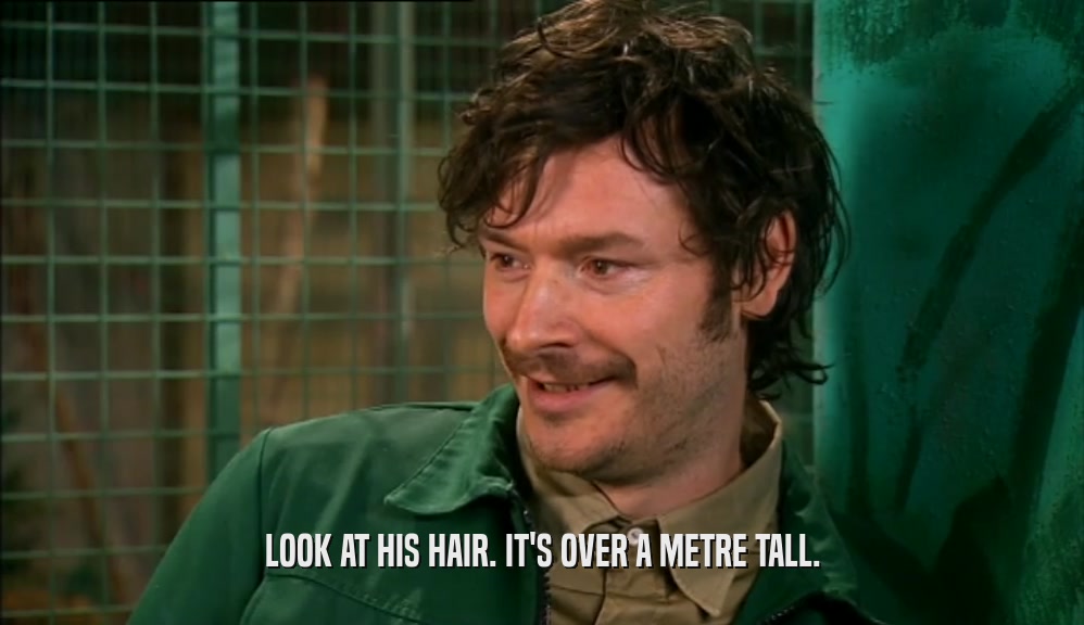 LOOK AT HIS HAIR. IT'S OVER A METRE TALL.  