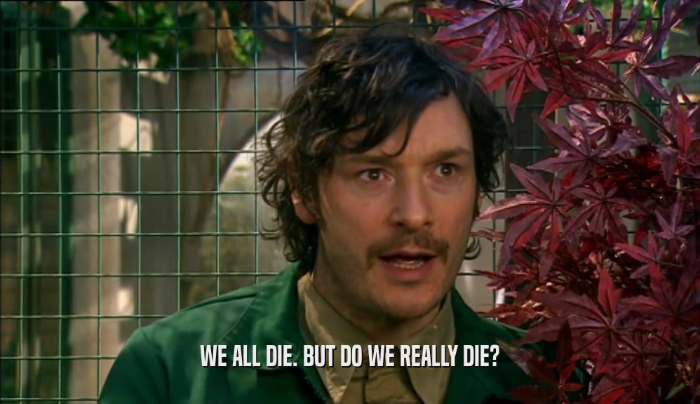 WE ALL DIE. BUT DO WE REALLY DIE?  