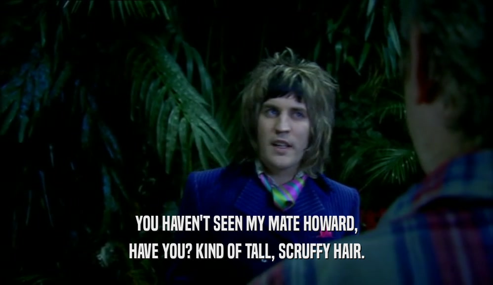 YOU HAVEN'T SEEN MY MATE HOWARD,
 HAVE YOU? KIND OF TALL, SCRUFFY HAIR.
 