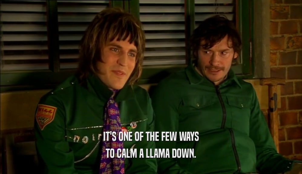 IT'S ONE OF THE FEW WAYS TO CALM A LLAMA DOWN. 