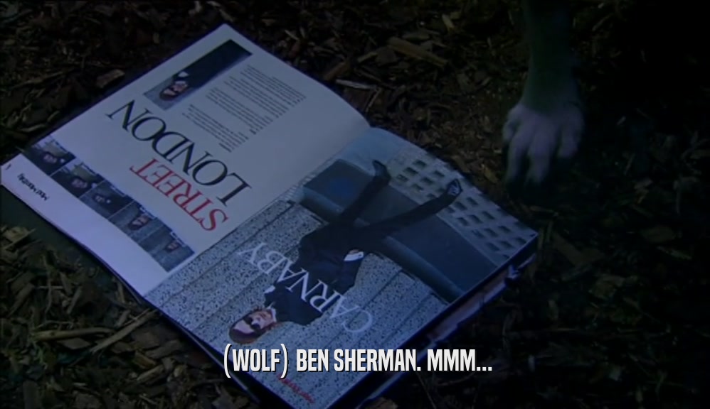 (WOLF) BEN SHERMAN. MMM...  