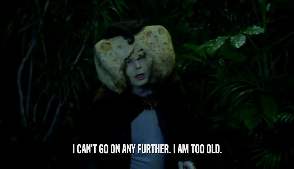 I CAN'T GO ON ANY FURTHER. I AM TOO OLD.  