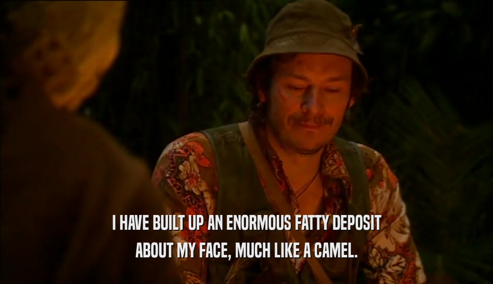 I HAVE BUILT UP AN ENORMOUS FATTY DEPOSIT ABOUT MY FACE, MUCH LIKE A CAMEL. 