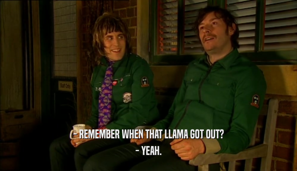 - REMEMBER WHEN THAT LLAMA GOT OUT? - YEAH. 