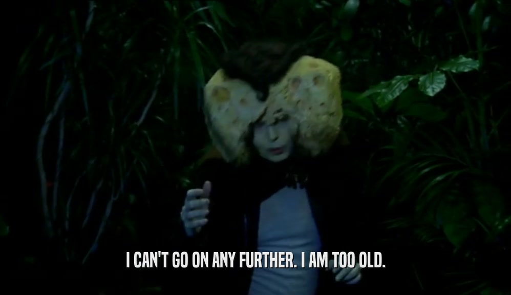 I CAN'T GO ON ANY FURTHER. I AM TOO OLD.  