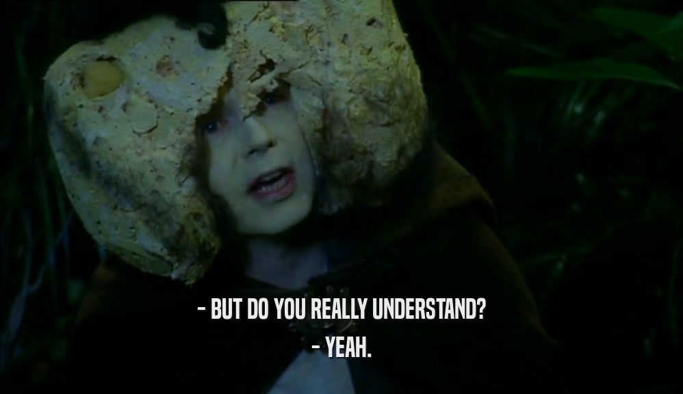 - BUT DO YOU REALLY UNDERSTAND? - YEAH. 