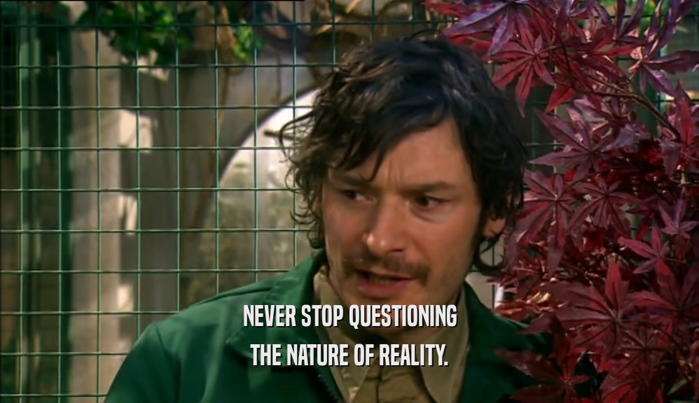 NEVER STOP QUESTIONING THE NATURE OF REALITY. 