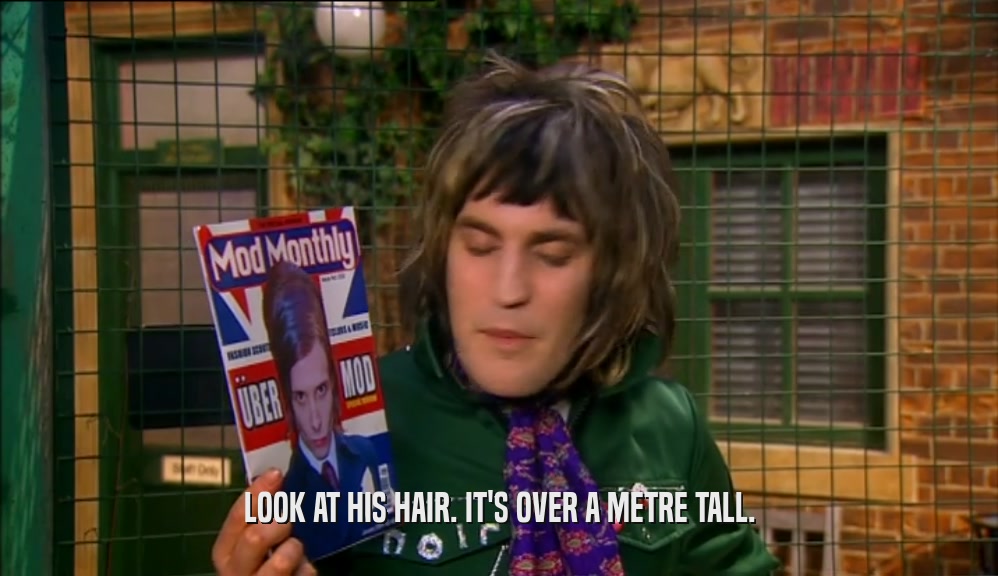 LOOK AT HIS HAIR. IT'S OVER A METRE TALL.  