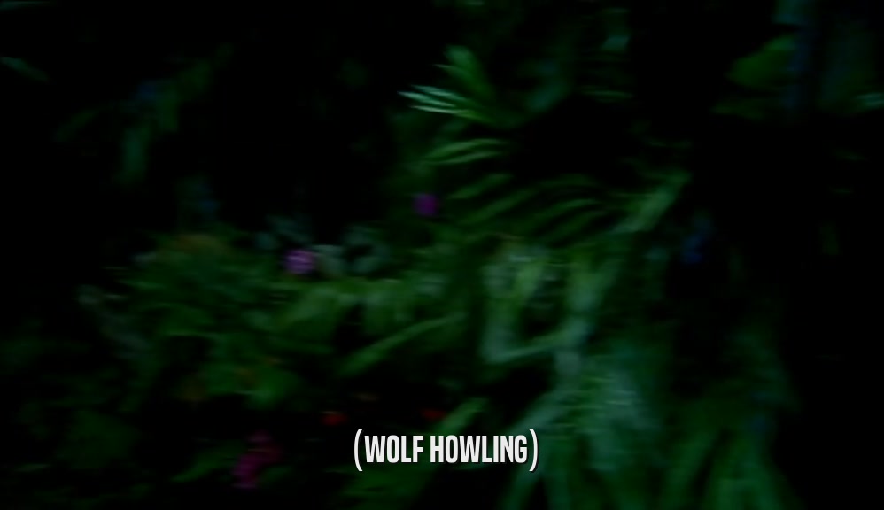 (WOLF HOWLING)  