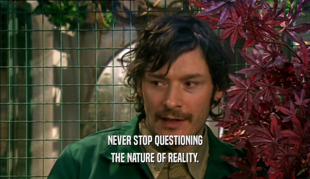 NEVER STOP QUESTIONING THE NATURE OF REALITY. 