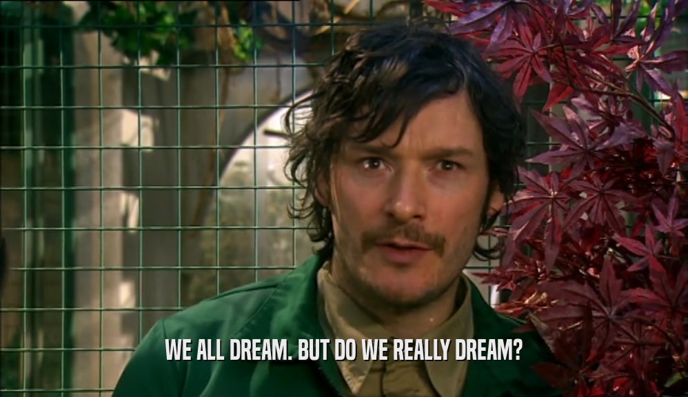 WE ALL DREAM. BUT DO WE REALLY DREAM?  