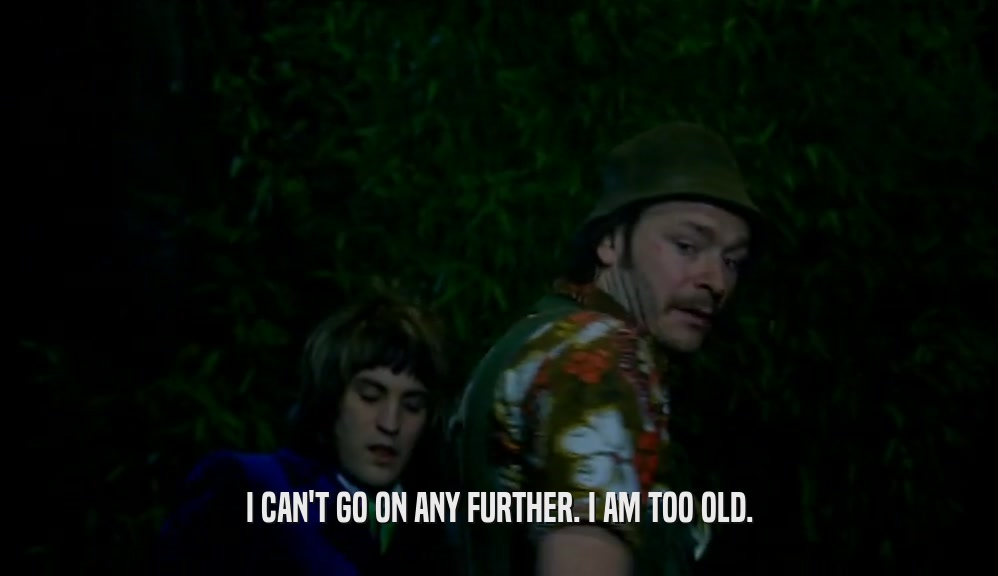 I CAN'T GO ON ANY FURTHER. I AM TOO OLD.  