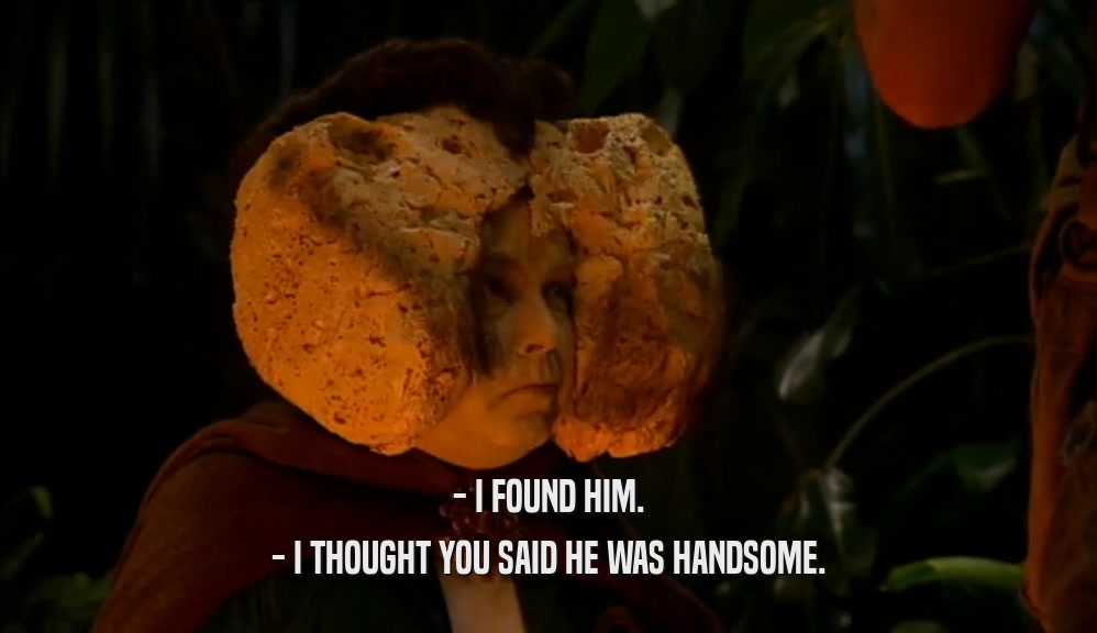 - I FOUND HIM. - I THOUGHT YOU SAID HE WAS HANDSOME. 