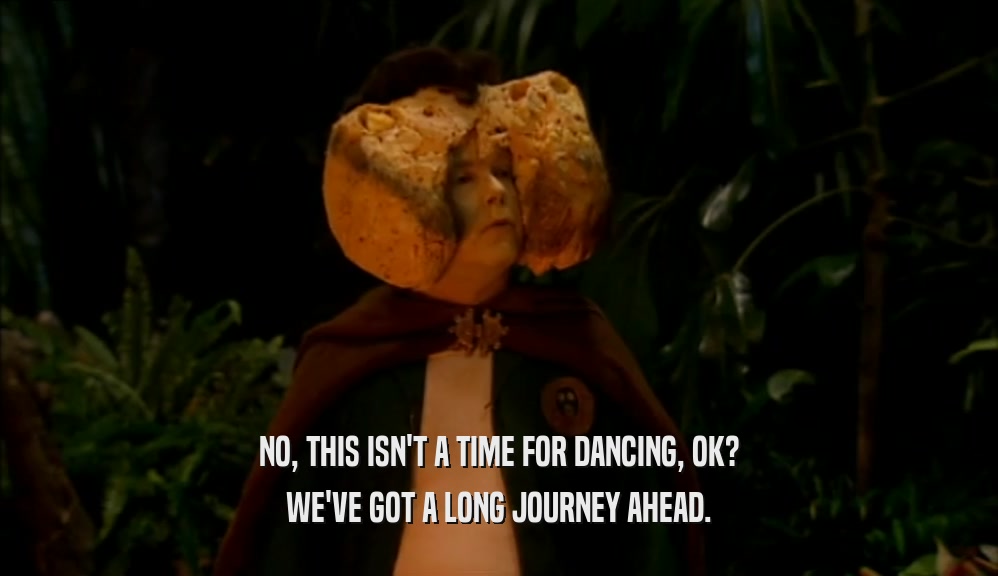 NO, THIS ISN'T A TIME FOR DANCING, OK? WE'VE GOT A LONG JOURNEY AHEAD. 