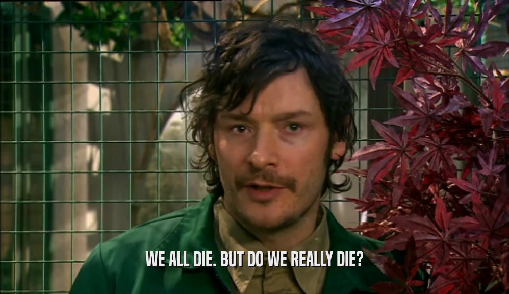 WE ALL DIE. BUT DO WE REALLY DIE?  