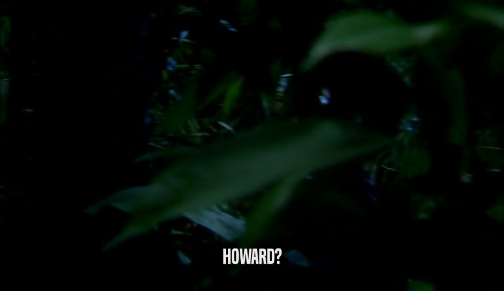 HOWARD?  