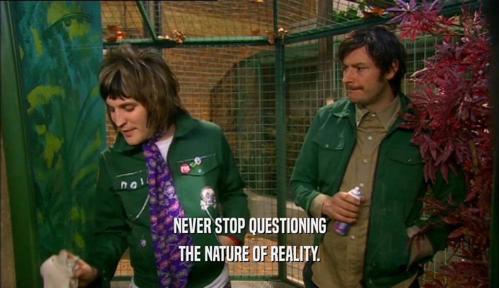 NEVER STOP QUESTIONING THE NATURE OF REALITY. 
