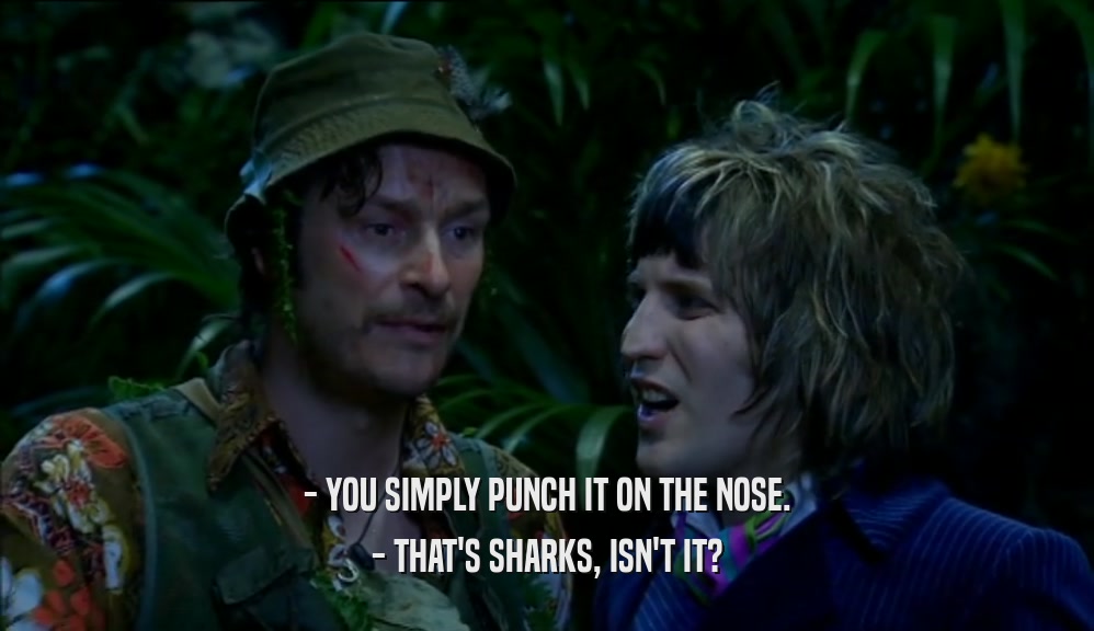 - YOU SIMPLY PUNCH IT ON THE NOSE. - THAT'S SHARKS, ISN'T IT? 