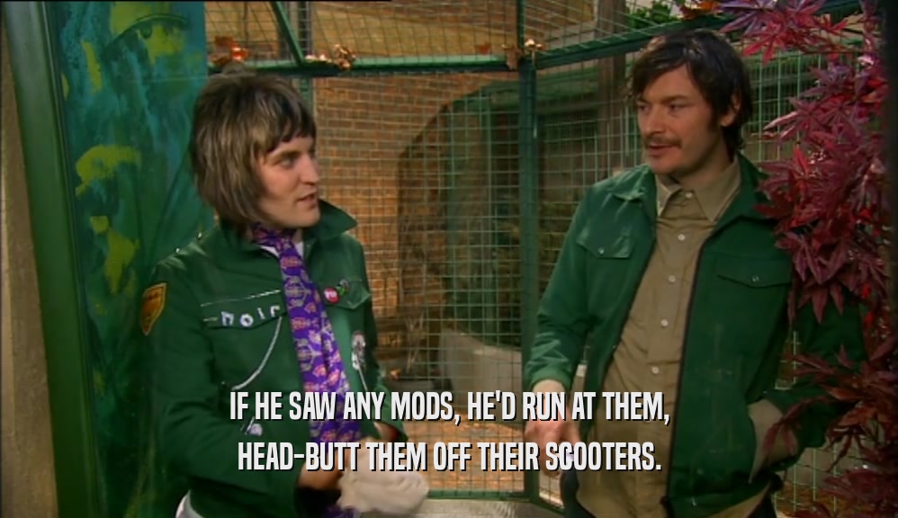 IF HE SAW ANY MODS, HE'D RUN AT THEM, HEAD-BUTT THEM OFF THEIR SCOOTERS. 