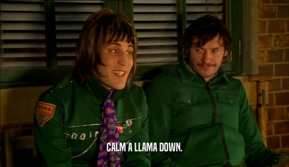 CALM A LLAMA DOWN.  
