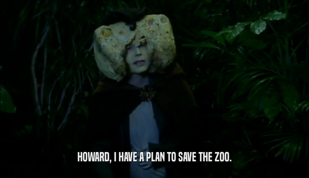 HOWARD, I HAVE A PLAN TO SAVE THE ZOO.  