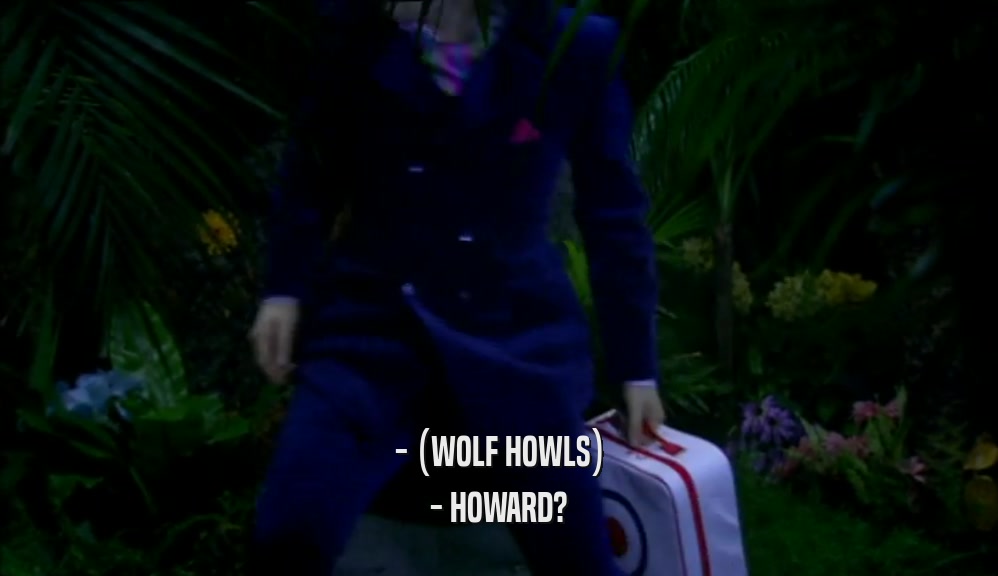 - (WOLF HOWLS) - HOWARD? 