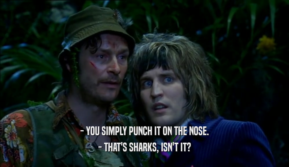 - YOU SIMPLY PUNCH IT ON THE NOSE. - THAT'S SHARKS, ISN'T IT? 