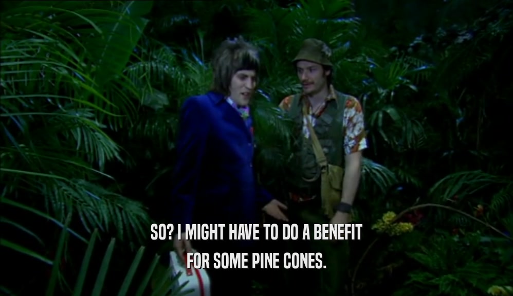 SO? I MIGHT HAVE TO DO A BENEFIT FOR SOME PINE CONES. 