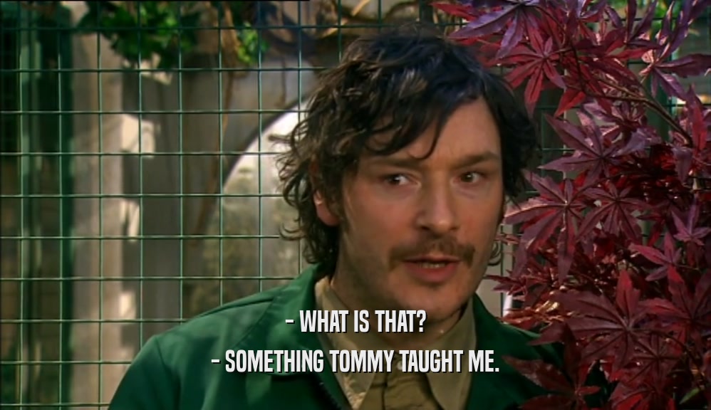 - WHAT IS THAT? - SOMETHING TOMMY TAUGHT ME. 