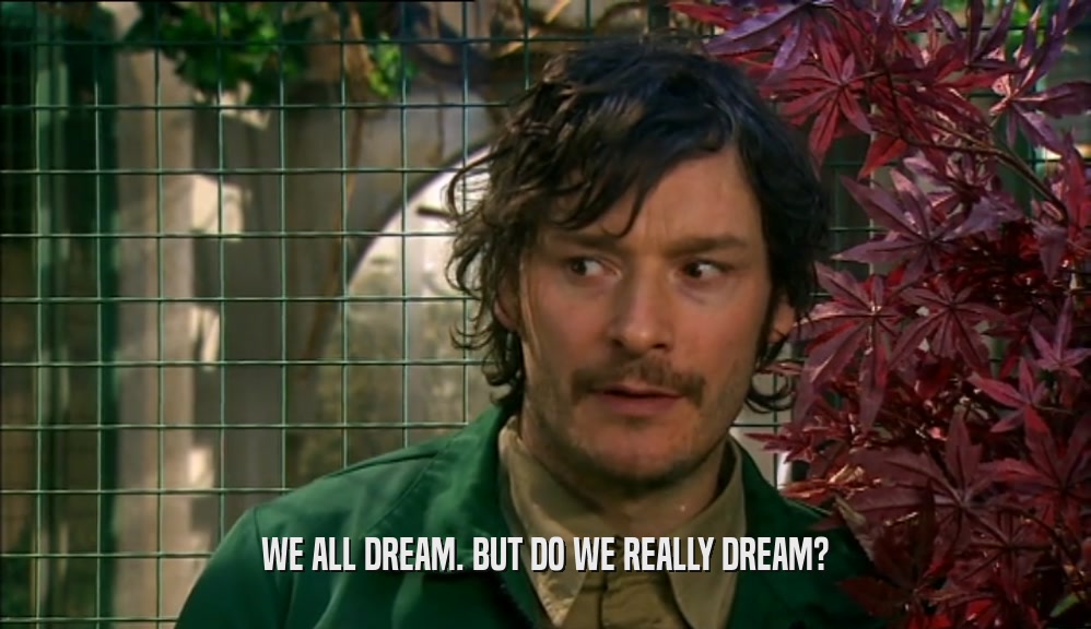 WE ALL DREAM. BUT DO WE REALLY DREAM?  