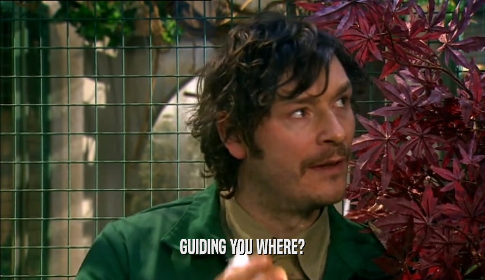 GUIDING YOU WHERE?  